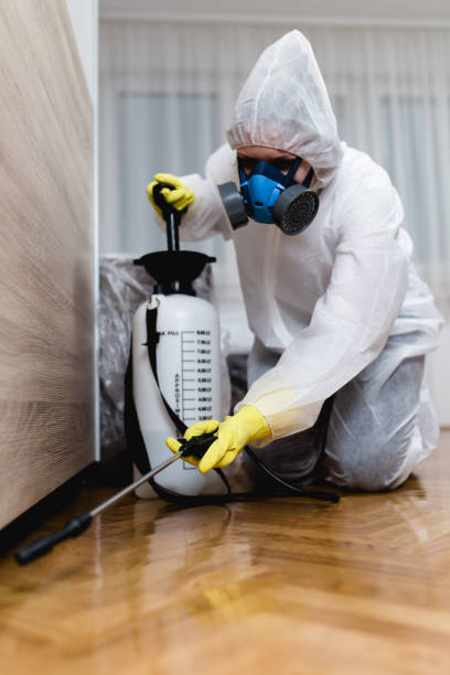 Emergency Pest Control Services in Washington, MO